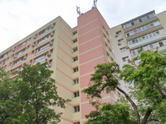 Obor x Teiul Doamnei - 5 minute metroul Obor